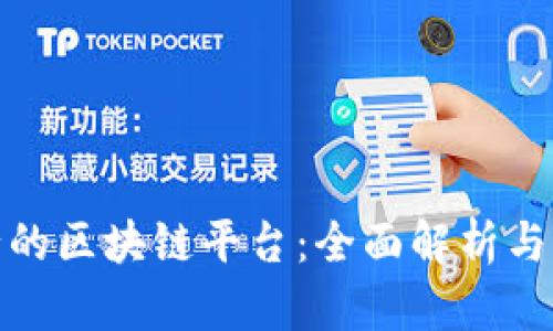 现今流行的区块链平台：全面解析与发展趋势