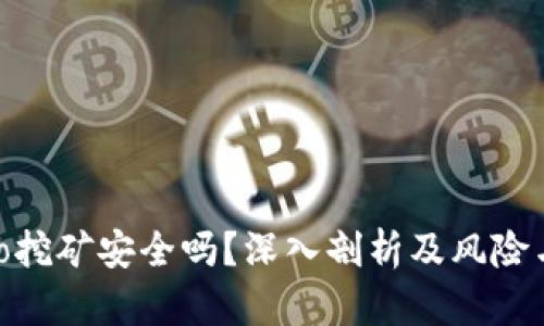 TP钱包Solo挖矿安全吗？深入剖析及风险与收益评估