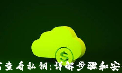 
TP钱包如何查看私钥：详解步骤和安全注意事项
