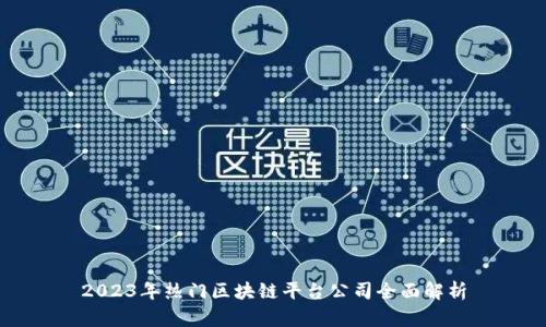 2023年热门区块链平台公司全面解析