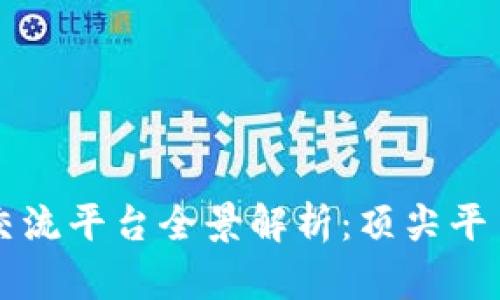 区块链国际交流平台全景解析：顶尖平台与用户指南