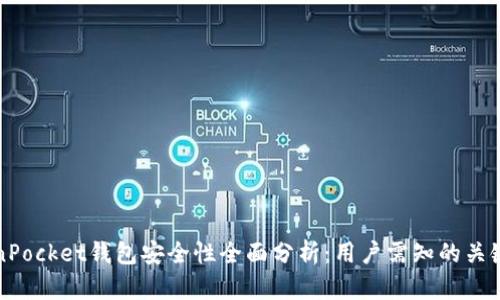 TokenPocket钱包安全性全面分析：用户需知的关键因素