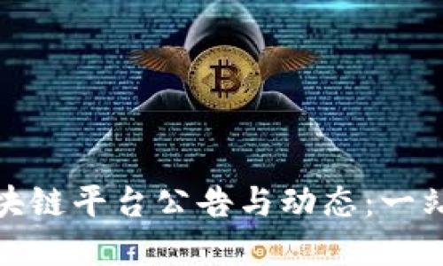 了解BSN区块链平台公告与动态：一站式信息获取