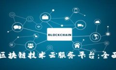 如何构建高效的区块链技