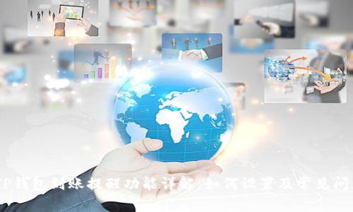 : TP钱包到账提醒功能详解：如何设置及常见问题 