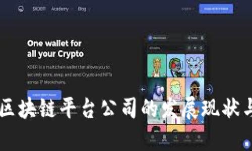 中国机场区块链平台公司的发展现状与未来展望