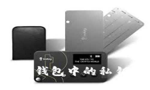 如何查看TP钱包中的私钥：详细指南