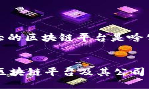 好的，下面是针对“强大的区块链平台是啥公司”这个主题的构思：


揭秘市场上最强大的区块链平台及其公司