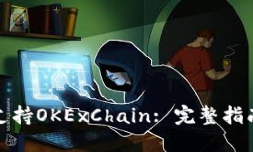 TP钱包如何支持OKExChain: 完整指南与使用技巧