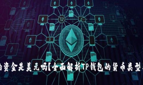 TP钱包中的资金是美元吗？全面解析TP钱包的货币类型与使用指南