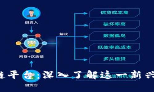 探索T字区块链平台：深入了解这一新兴技术及其应用