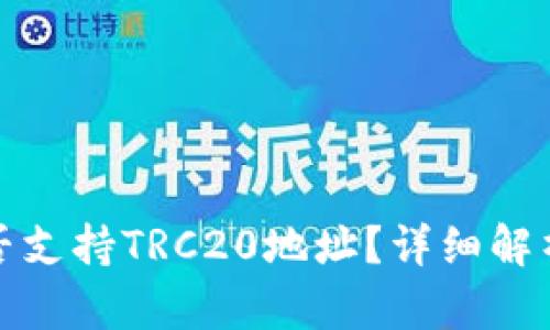 : TP钱包是否支持TRC20地址？详细解析与使用指南