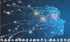 如何在国内成功搭建区块链平台：指南与实用建