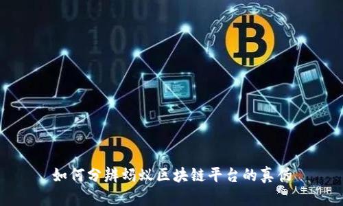 如何分辨蚂蚁区块链平台的真伪