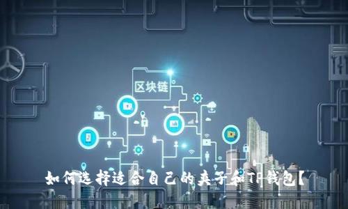 如何选择适合自己的夹子和TP钱包？